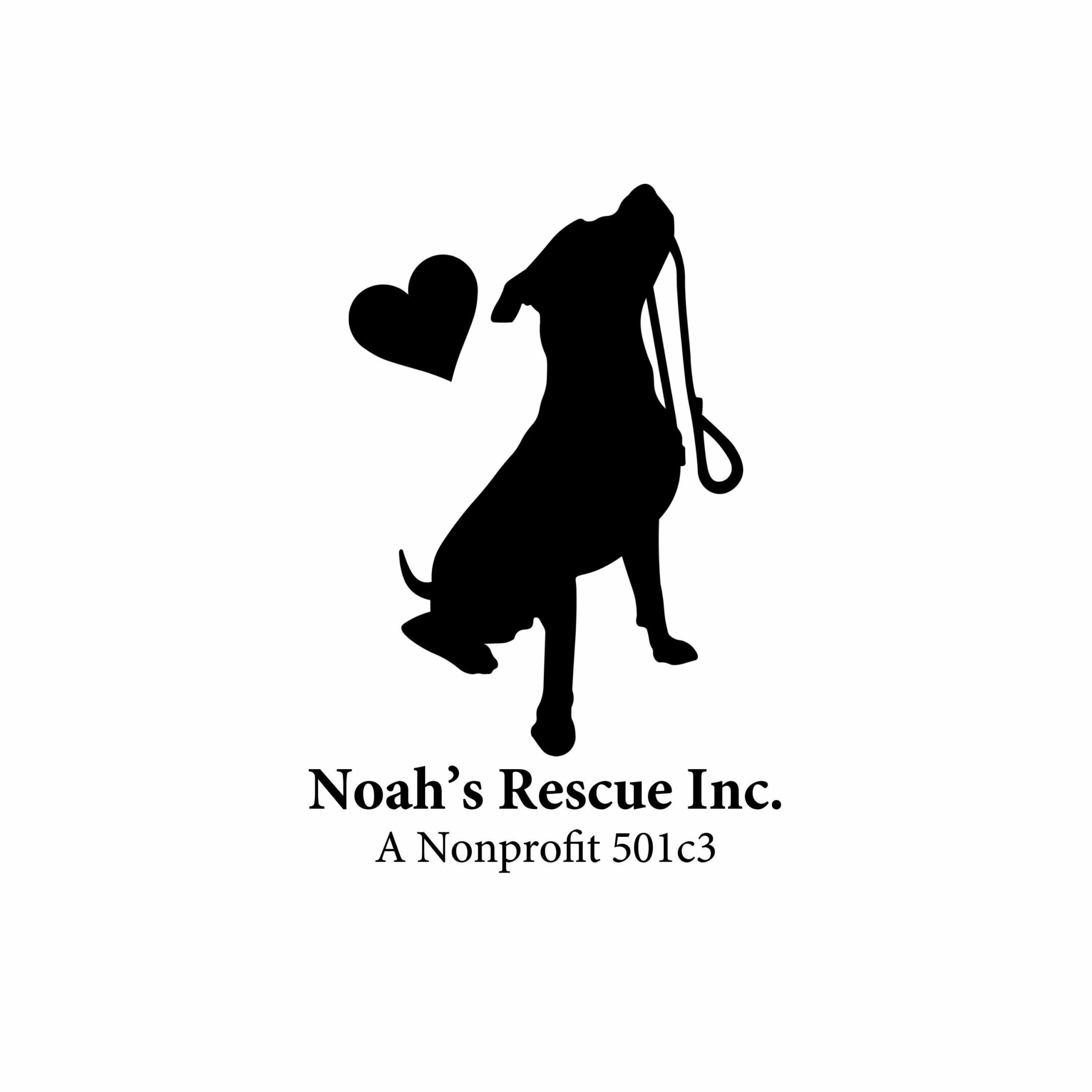 Noah's Rescue Inc adopt a dog near me miami florida broward county florida fort lauderdale florida Animal Rescue Broward County Florida miami fort lauderdale dog rescue pet rescue animal rescue dog shelter animal shelter pet shelter adopt a dog adopt a pet pets for adoption near me dogs for adoption near me